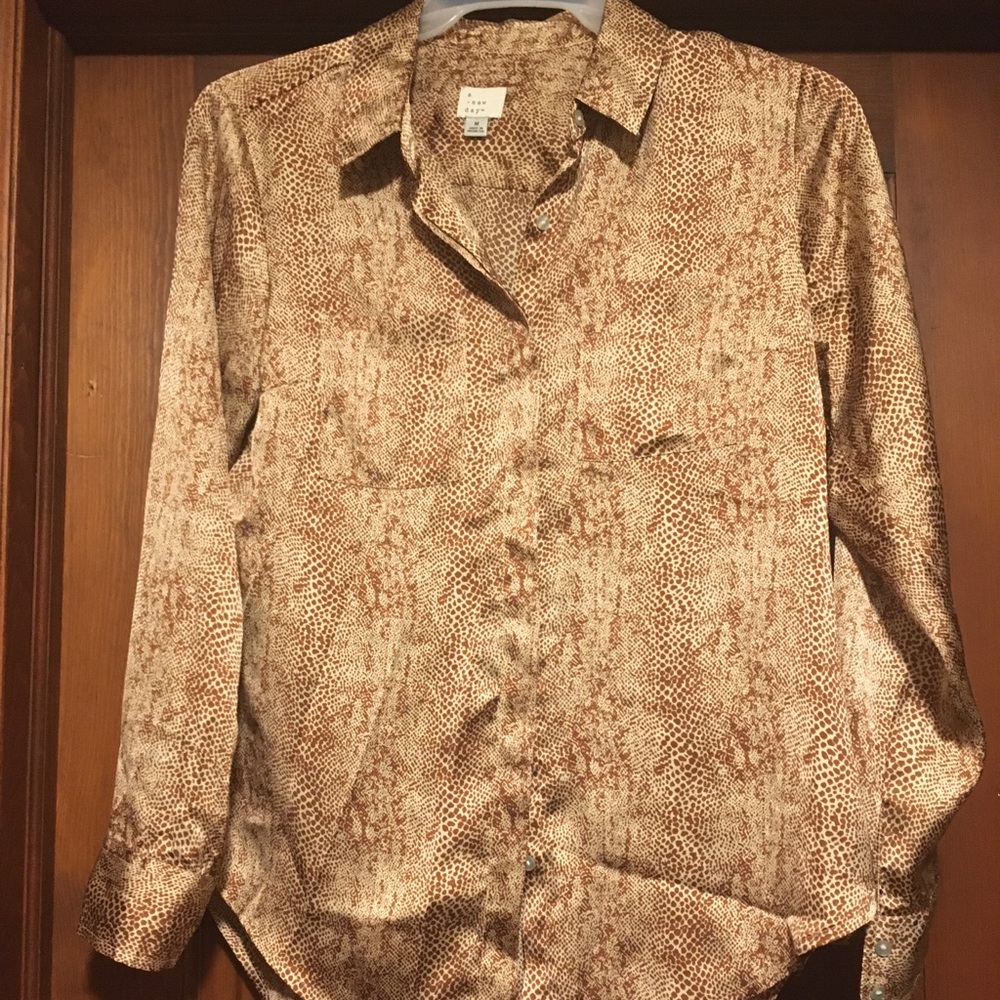 Button Down Shirt